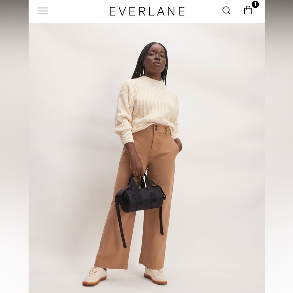 Everlane recycled nylon crossbody